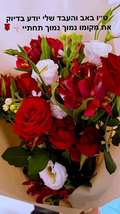 seilorkittyofficial seilorkittyofficial archive video