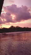 shira_karvat Altpins Profile Picture