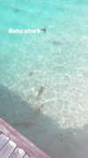 shira_karvat Altpins Profile Picture