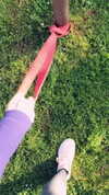elebertoli Altpins Profile Picture