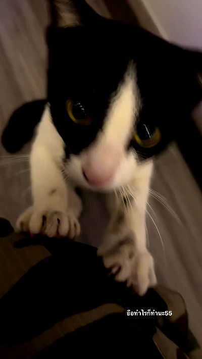 oqr0_ oqr0_ archive video