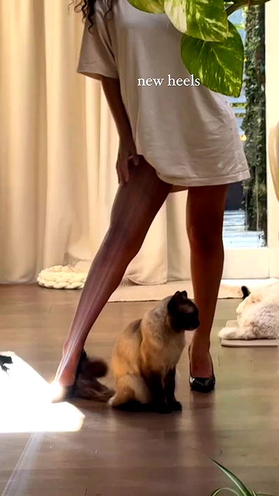 jasminxie2 jasminxie2 archive video