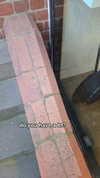 dinasaur_0_0_ Altpins Profile Picture