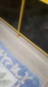 natali.shalev Altpins Profile Picture