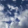 teafl0wer Altpins Profile Picture