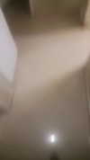 natali.shalev Altpins Profile Picture