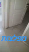 natali.shalev Altpins Profile Picture