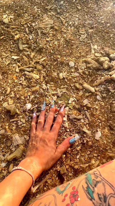 yam_adler yam_adler archive video