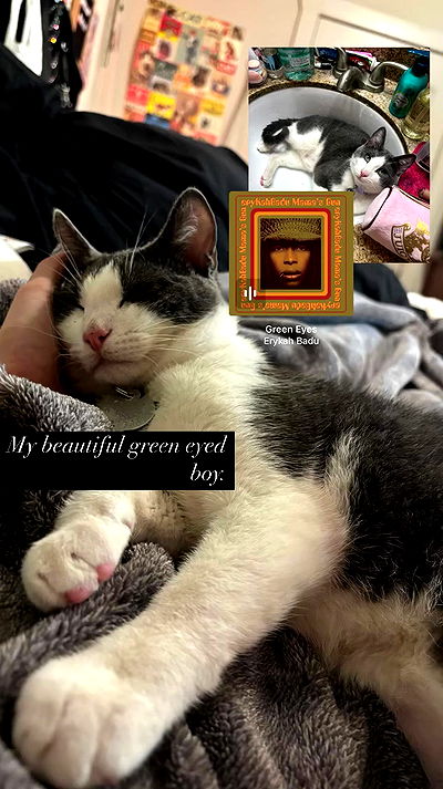 tatum.ricee tatum.ricee archive video