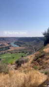 newpoort Altpins Profile Picture