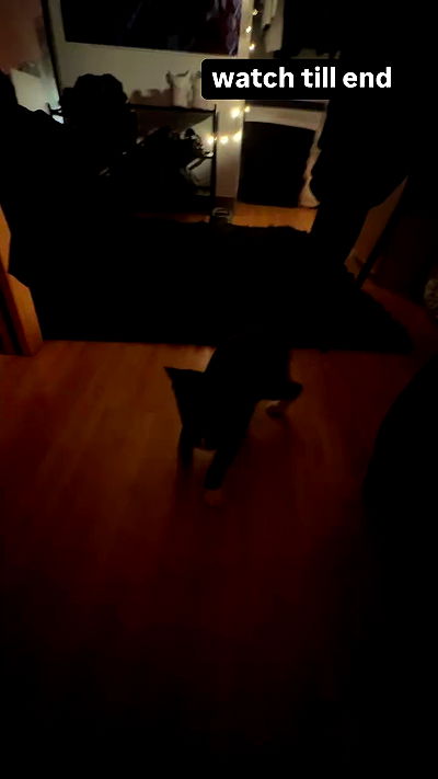 6nattynat9 6nattynat9 archive video