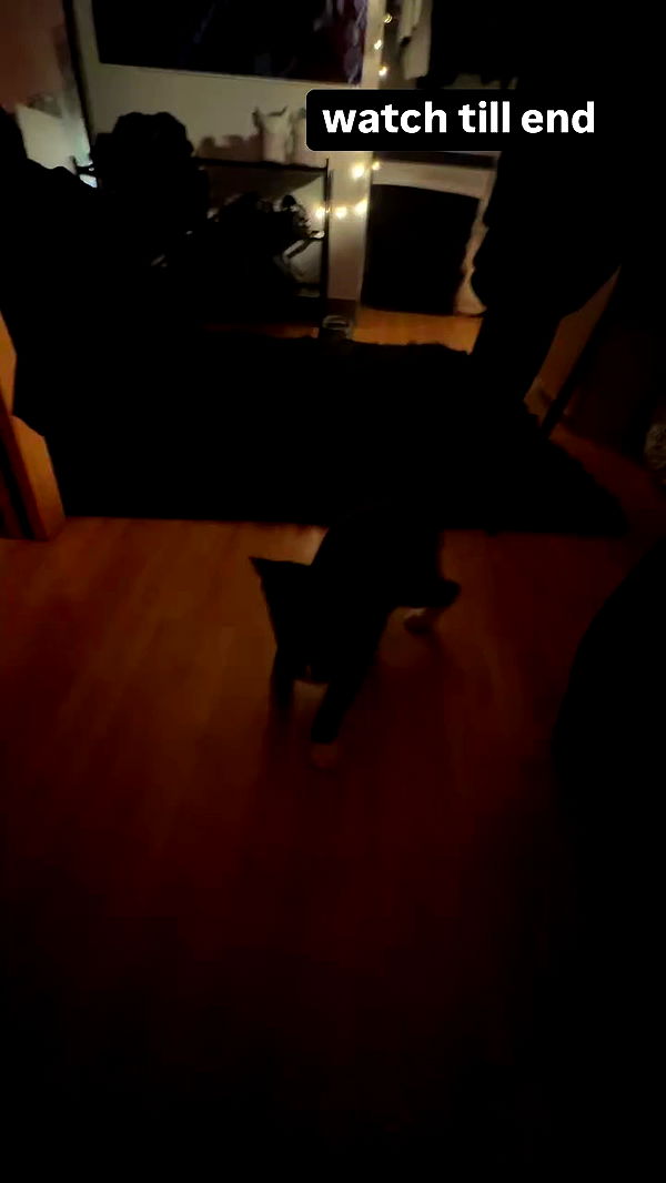 6nattynat9 archive video preview