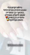 lior_lotati Altpins Profile Picture