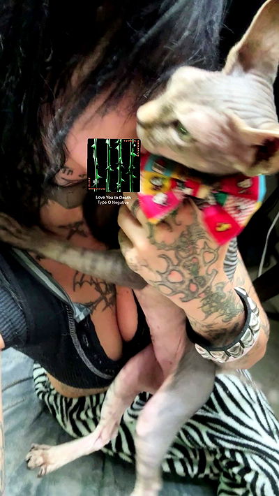 zommmbri zommmbri archive video