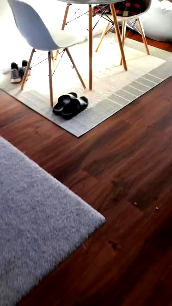 jade.schutte archive video preview