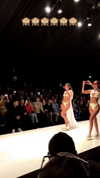 neta_alchimister Altpins Profile Picture