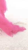 neta_alchimister Altpins Profile Picture