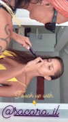 neta_alchimister Altpins Profile Picture