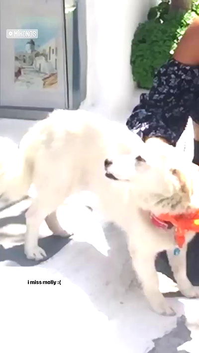 yaelxyazdi yaelxyazdi archive video