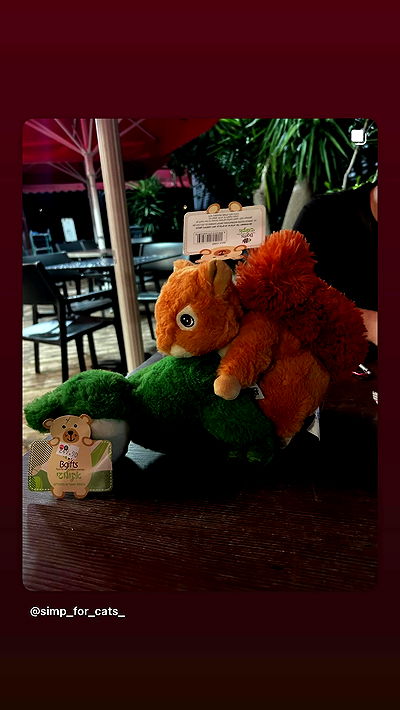 simp_for_cats_ simp_for_cats_ archive video