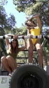 neta_alchimister Altpins Profile Picture