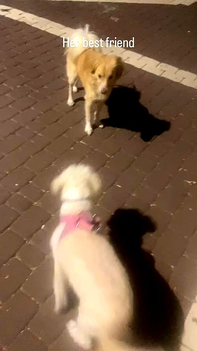 feelbetterinmysweater feelbetterinmysweater archive video