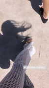 shira_karvat Altpins Profile Picture