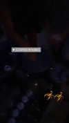 shira_karvat Altpins Profile Picture