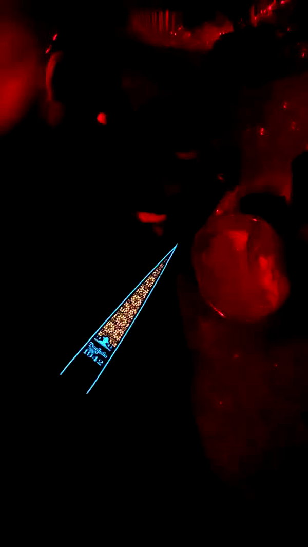 shira_karvat archive video preview
