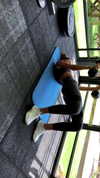 neta_alchimister Altpins Profile Picture