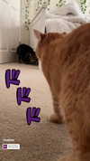 ivy.owowo Altpins Profile Picture