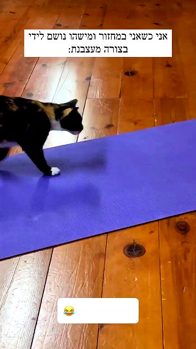 itsilanosh itsilanosh archive video