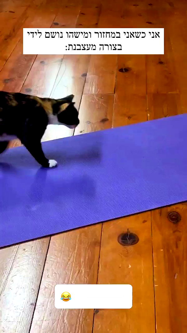 itsilanosh archive video preview