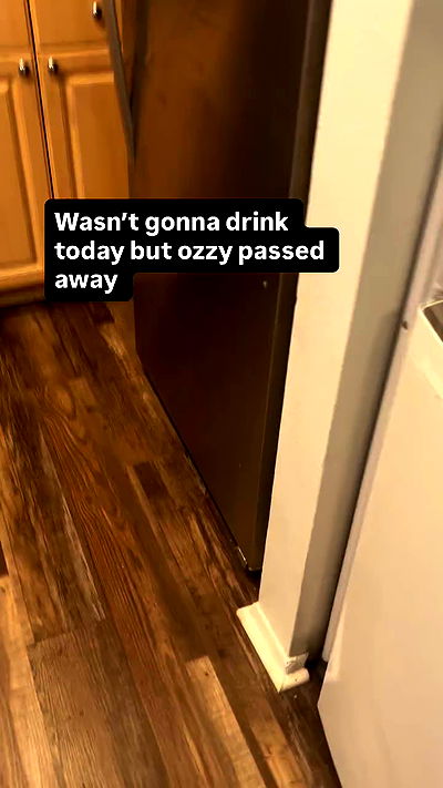 llilbby llilbby archive video