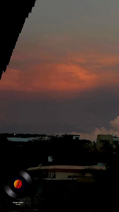 laluzone laluzone archive video