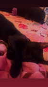 porcelainpixi Altpins Profile Picture