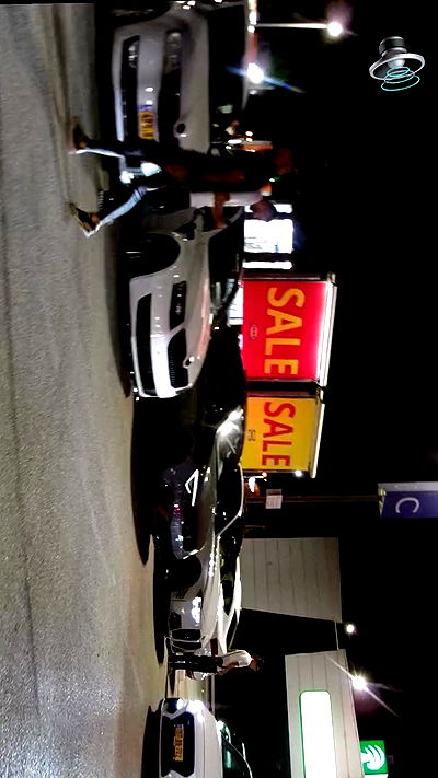 simp_for_cats_ simp_for_cats_ archive video