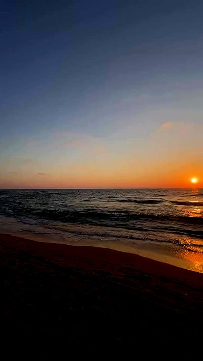 sofiagildin sofiagildin archive video