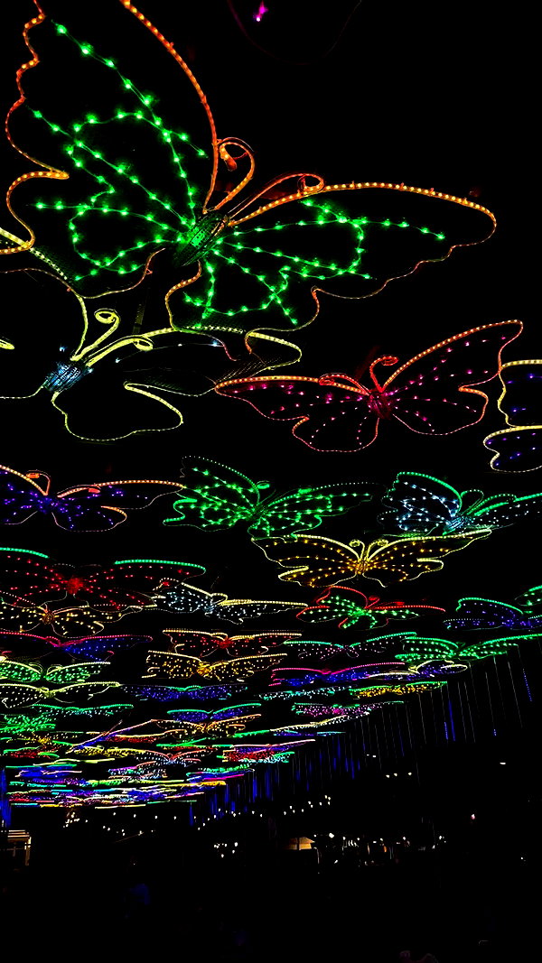 _anastasiaxxq_ archive video preview