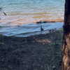 newpoort Altpins Profile Picture