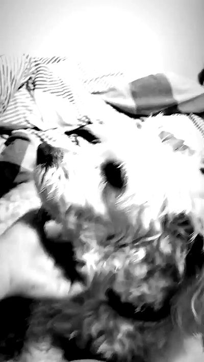 feelbetterinmysweater feelbetterinmysweater archive video