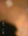 kyliejenner Altpins Profile Picture