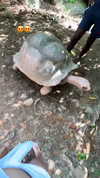 1ssakova Altpins Profile Picture