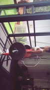 neta_alchimister Altpins Profile Picture