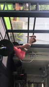 neta_alchimister Altpins Profile Picture