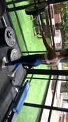 neta_alchimister Altpins Profile Picture