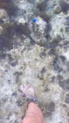 liem_sadan Altpins Profile Picture