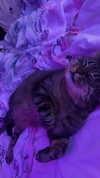 ashley.scarr Altpins Profile Picture