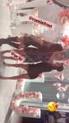 neta_alchimister Altpins Profile Picture