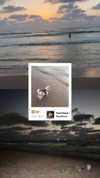 sasha53_8 Altpins Profile Picture